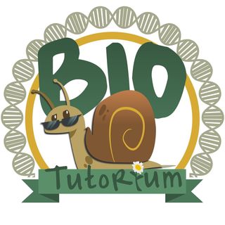 Logo-Biotutorium